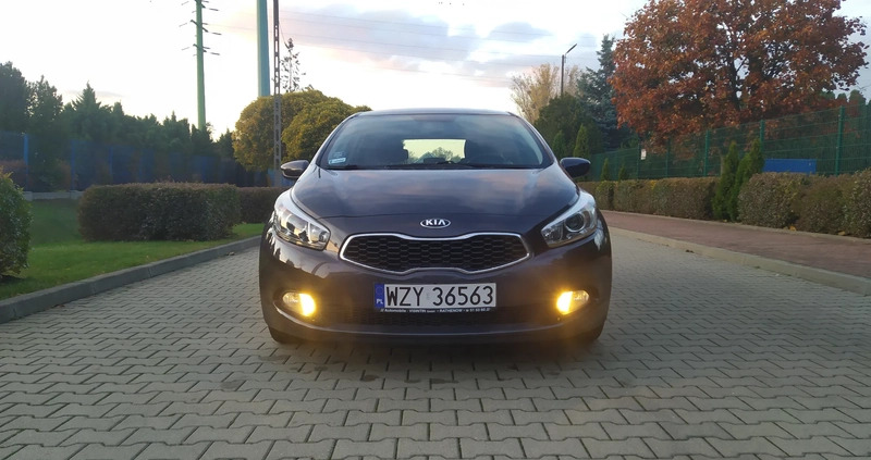 Kia Ceed cena 33700 przebieg: 178500, rok produkcji 2012 z Żyrardów małe 301